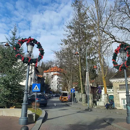 סינאיה Garsoniera Parc Ultracentral מראה חיצוני תמונה