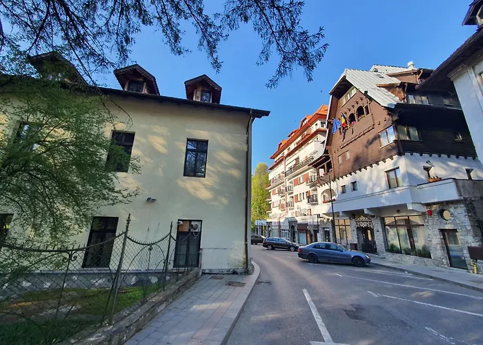 Garsoniera Parc Ultracentral