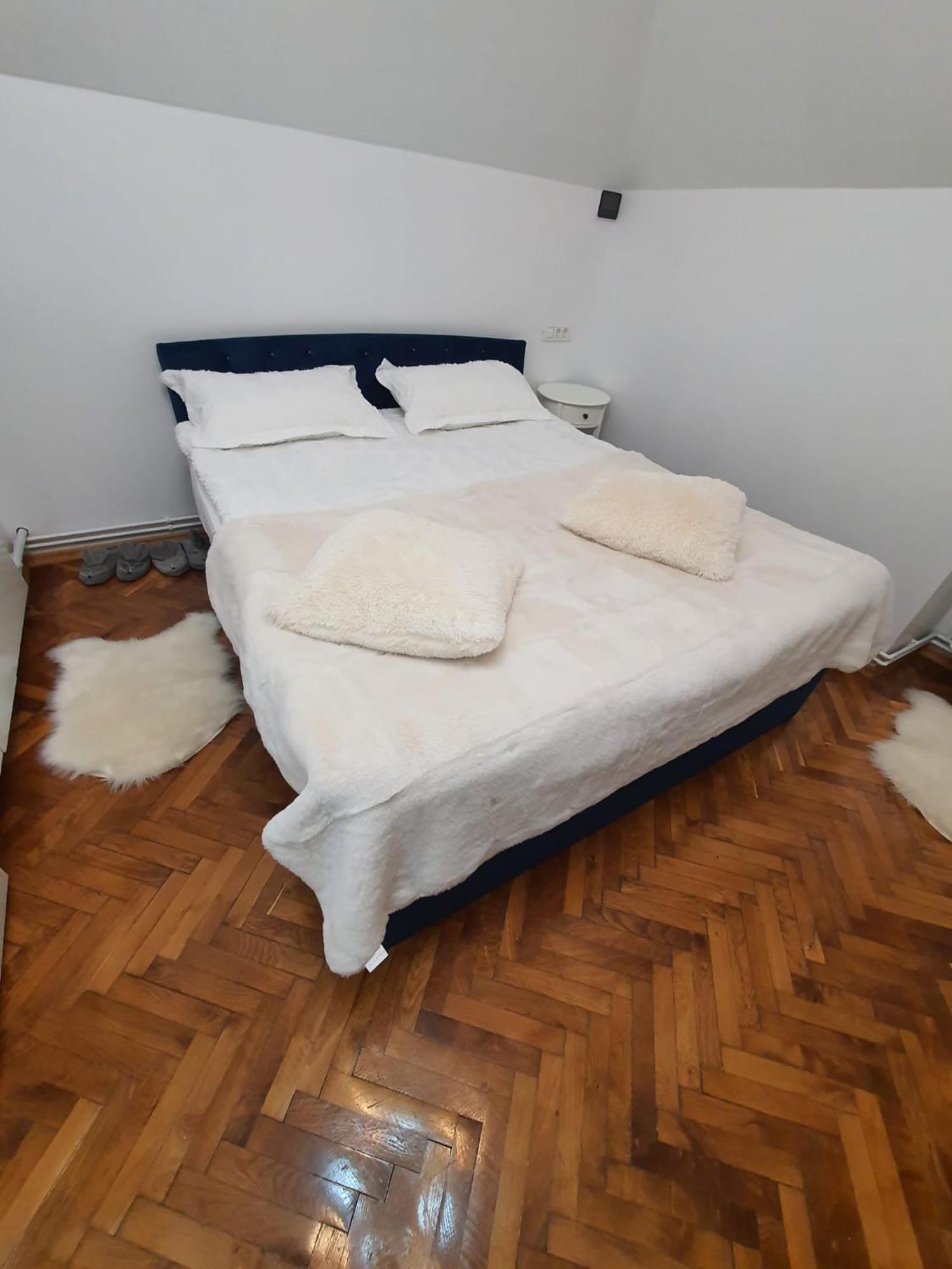 דירה Garsoniera Parc Ultracentral *