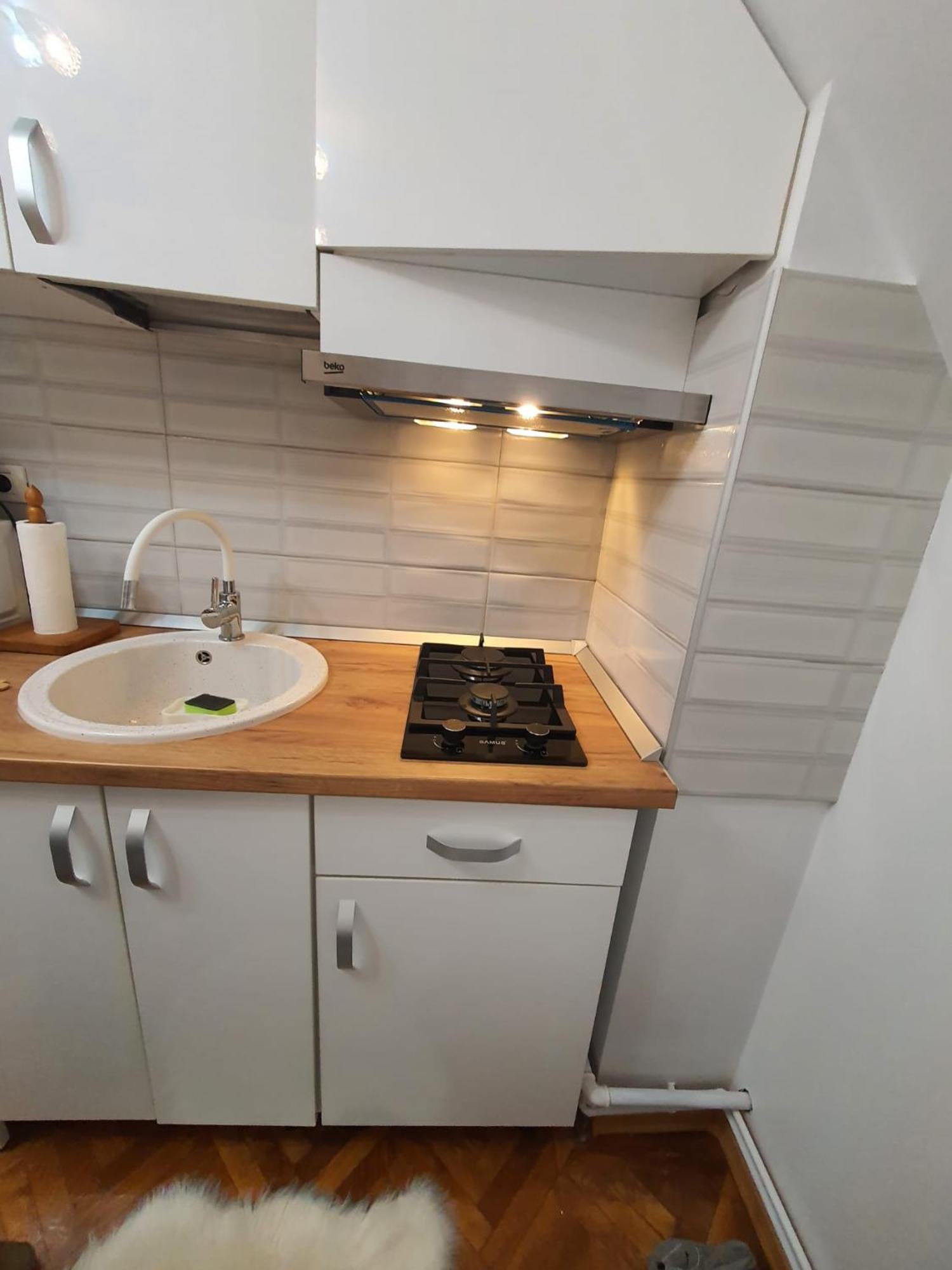 Garsoniera Parc Ultracentral דירה